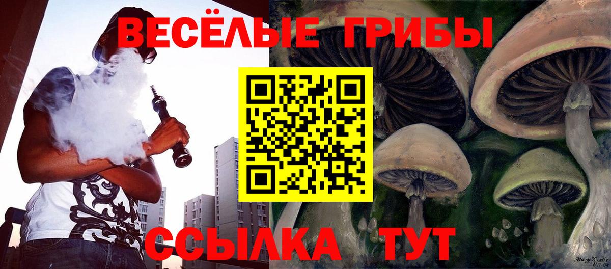 Галлюциногенные грибы Cubensis Пятигорск